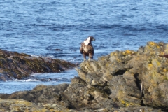 P1010768